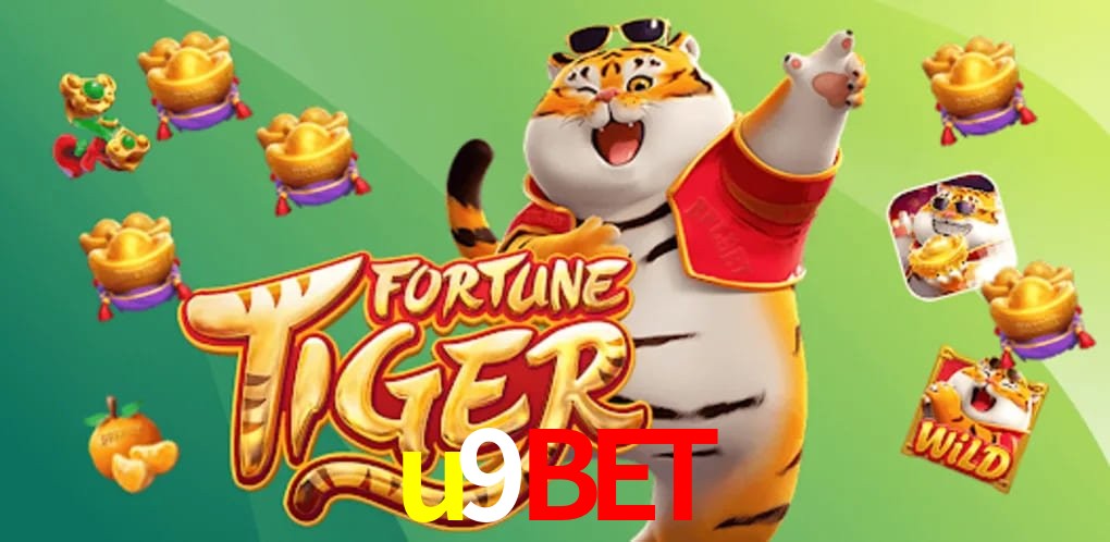 Sports Statistics u9bet